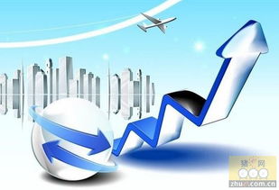 創(chuàng)新養(yǎng)豬集團(tuán)網(wǎng)絡(luò)技術(shù)開發(fā)項(xiàng)目申請歐盟200萬歐元資助